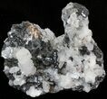 Sphalerite, Quartz, Calcite & Chalcopyrite Association - Bulgaria #41754-1